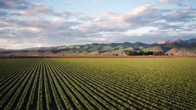 Revolução Verde 2024: Transformando o Agronegócio com Tecnologia